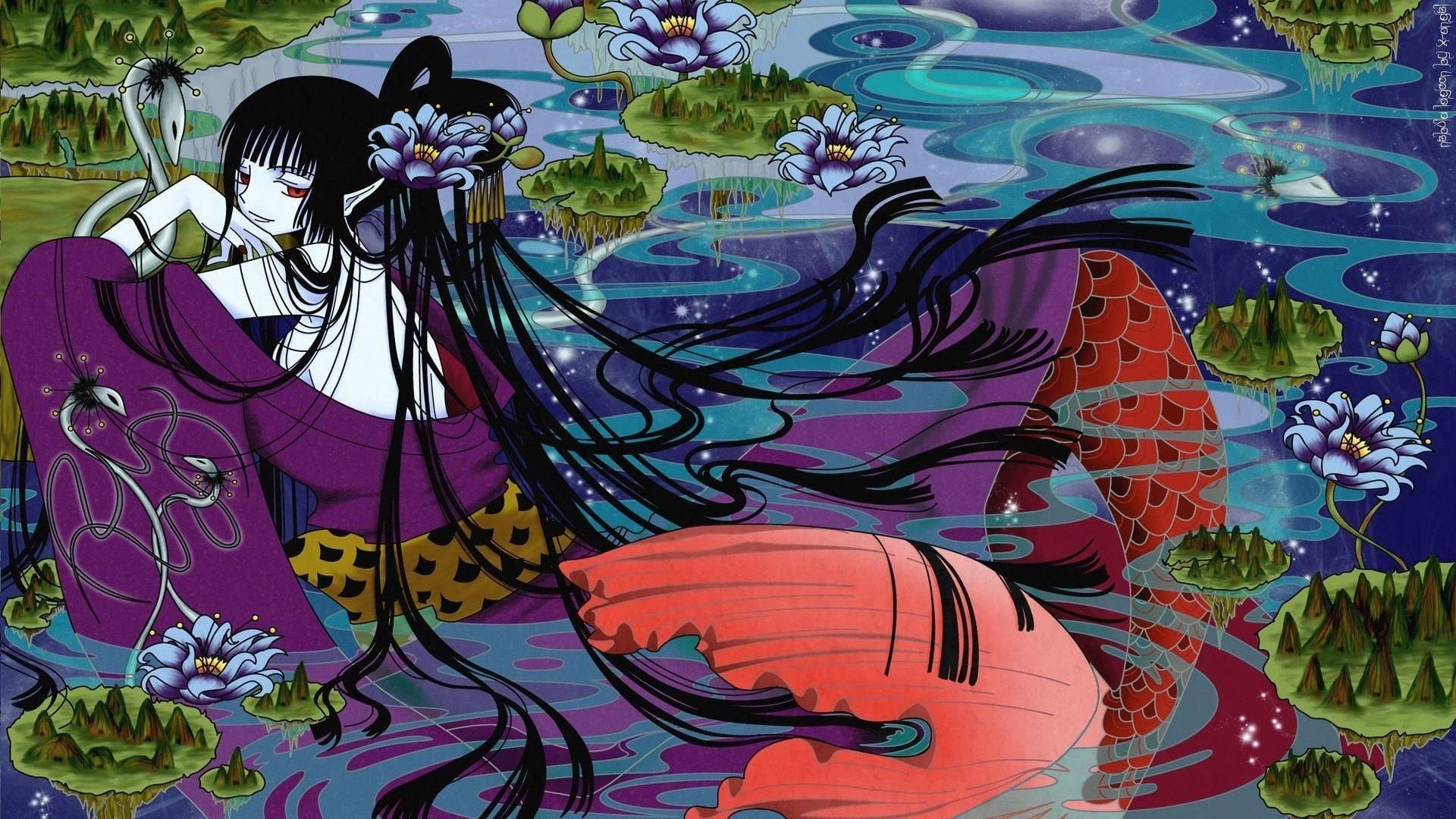 Backdrop image